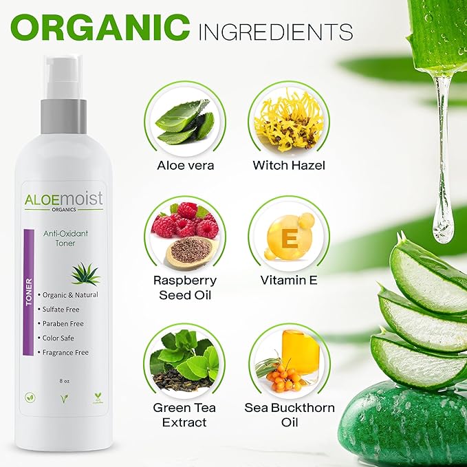 Green Tea Toner for Face: Pore Minimizing, pH Balancing & Hydrating Facial Toner for Aging Skin with Calming Aloe Vera & Antioxidant Green Tea Skincare for Women Dry, Oily, Acne Prone & Sensitive Skin