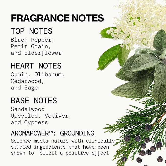 Pacifica Montana Sky Spray Perfume – Clean Vegan Fragrance for Women with Cedarwood & Sage – Grounding Earthy Woodsy Scent w/Cedarwood, Black Pepper, Sage, Cruelty-Free & Long-Lasting, 2 fl oz