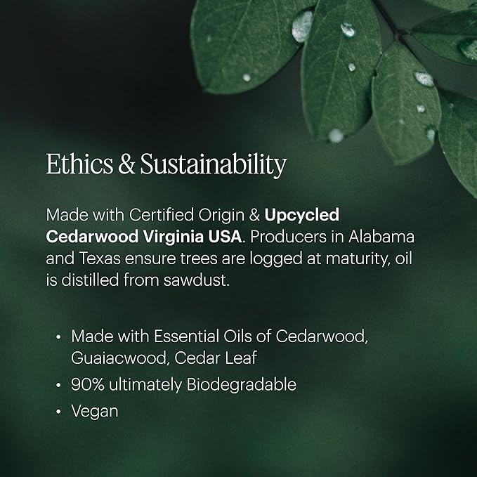 Aera Feu de Bois - Essential Oil for Home - Wood Burning Fragrance - Notes of Smokey Embers and Driftwood - Scent Refill - Works with The Aera Diffuser