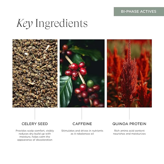 Soothe Sayer Bi-Phase Scalp Treatment – Flake Control & Redness Relief, 99% Natural, 67% Organic, Vegan, Clean Beauty – Nourishing Leave-In for Dry, Itchy, Irritated Scalps, 4 oz