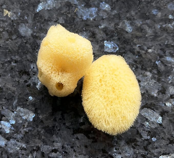 Real Natural Sea Sponges Multipack - 5pc Spa Gift Set in Premium Bag, Kind on Skin, for Bath Shower Facial Cleansing, Pamper Moms Brides Girlfriends & Teens (5 Pack Standard Packaging)