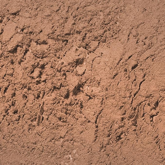 Palladio Brow Powder for Eyebrows, Soft and Natural Eyebrow Powder with Jojoba Oil & Shea Butter, Helps Enhance & Define Brows, Compact Size for Purse or Travel, Includes Applicator Brush, Soft Brown