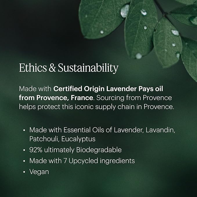 Aera Lavender - Essential Oil for Home - Calming and Meditative Fragrance - Notes of Lavender, Chamomile and Cedar Leaf- Scent Refill - Works with the Aera Diffuser