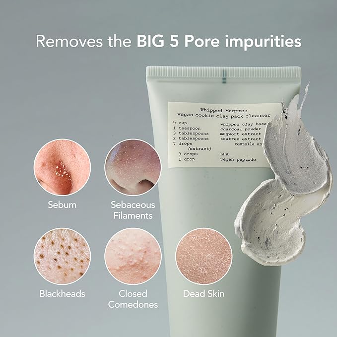 Whipped Charcoal Clay Face Wash for Blackheads and Pores - A Deep Cleansing Vegan Facial Cleanser and Exfoliating Korean Skincare Face Wash, Doubles as a Face Mask, 6.0 fl. oz