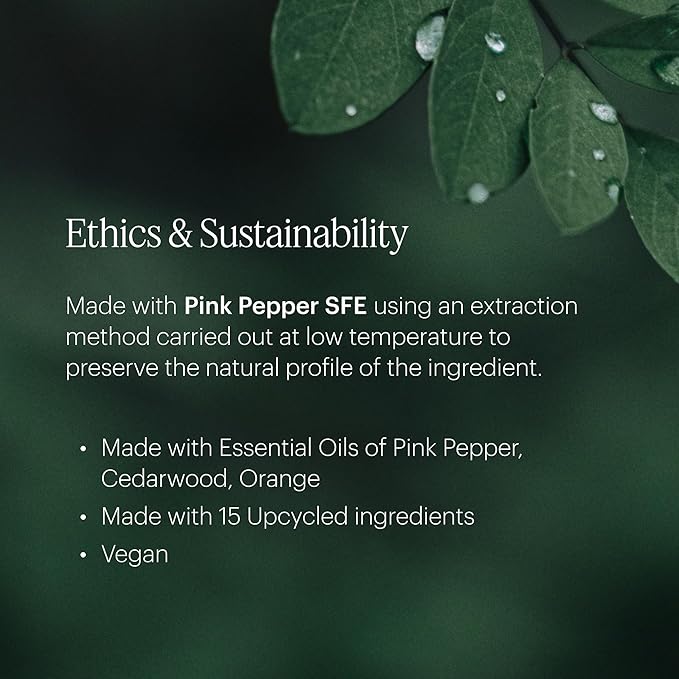 Aera Curiosity - Essential Oil for Home - Pear and Redberries Fragrance - Notes of Magnolia, Lotus Flower and Citrus - Scent Refill - Works with The Aera Diffuser