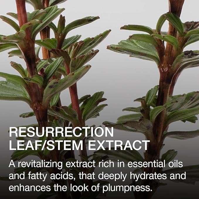 Ogee Beyond Clean Lip Gloss - Certified Organic Lip Gloss for Women - Effortlessly Plump, Hydrate & Add High-Shine Color, Foxglove - Rich Rosy Brown