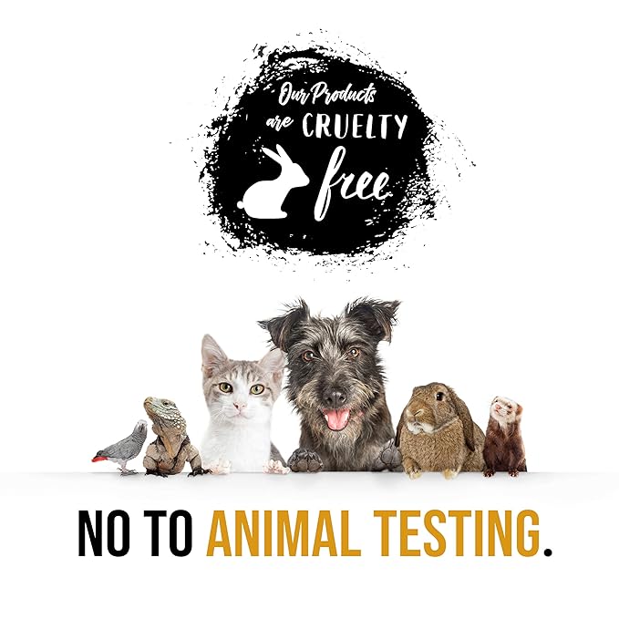 Aromatherapy Essentials Spa Set for Women in Large Silver Tub. Bath Set Includes 2 Bath Bombs, Body Lotion, etc (Pink Orchid and Balsamic Strawberry)