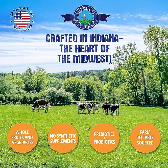Freeze Dried Raw Dog Food, All Natural, No Synthetics, Made in USA with Goat's Milk & Organic Produce, High Protein, Complete Meal (14oz, Beef)